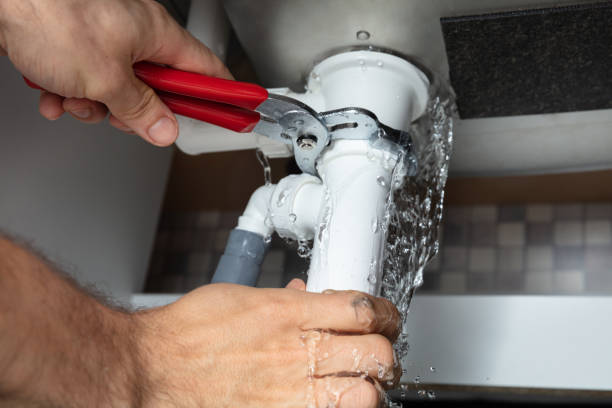 Best Professional water damage repair  in West Haven, CT