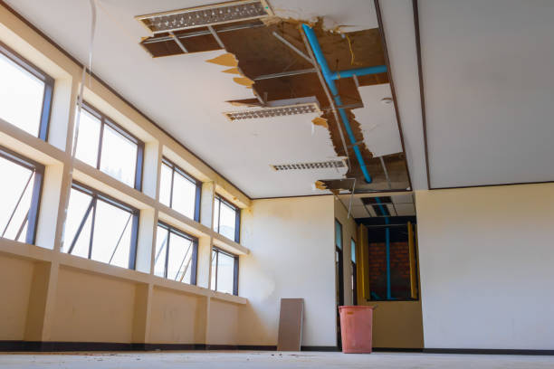 Best Water damage restoration near me  in West Haven, CT