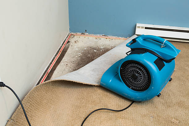 Best Flood restoration services  in West Haven, CT